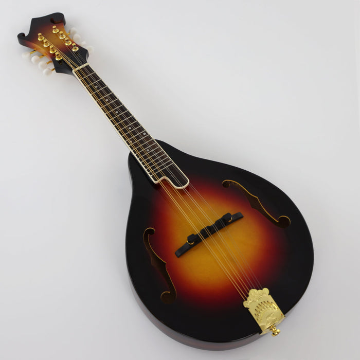 PPEQ All Solid Wood A Mandolin (PMA-003, Shanghai Music Show Sample)