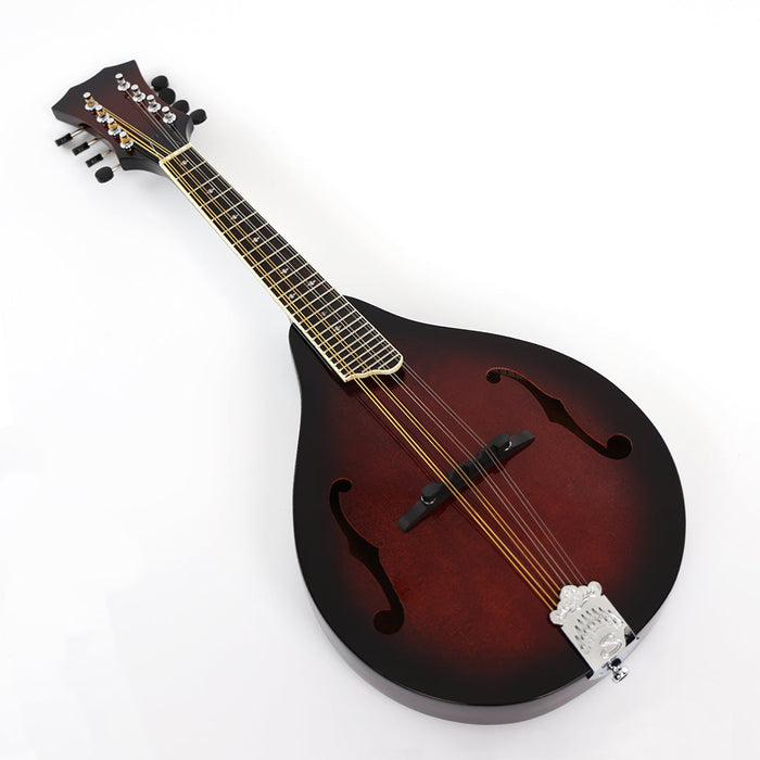 PPEQ All Solid Wood A Mandolin (PMA-007, Shanghai Music Show Sample)