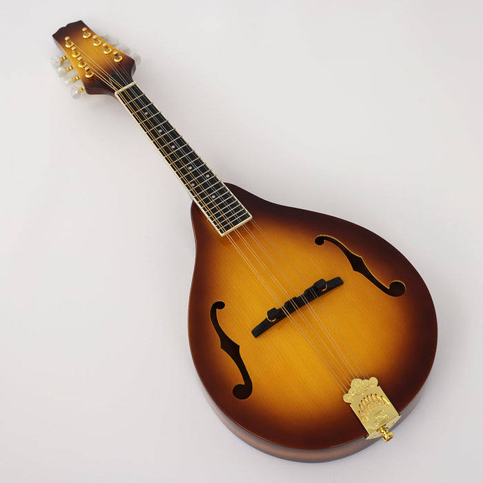 PPEQ All Solid Wood A Mandolin (PMA-011, Shanghai Music Show Sample)
