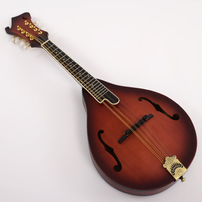 PPEQ All Solid Wood A Mandolin (PMA-017, Shanghai Music Show Sample)