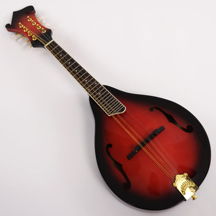 PPEQ All Solid Wood A Mandolin (PMA-018S, Shanghai Music Show Sample)