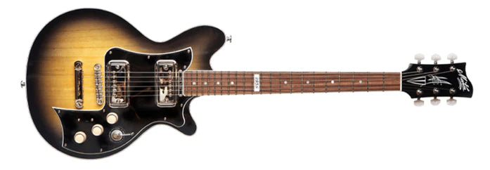 Rik MS500 Custom Guitar (2023-05-10)