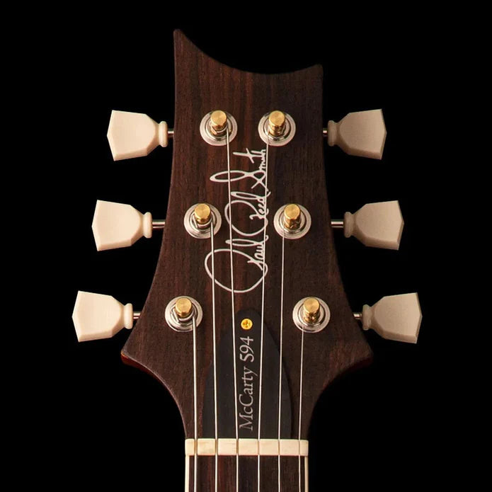 PRS Style Custom Design Guitar (2023-09-24)