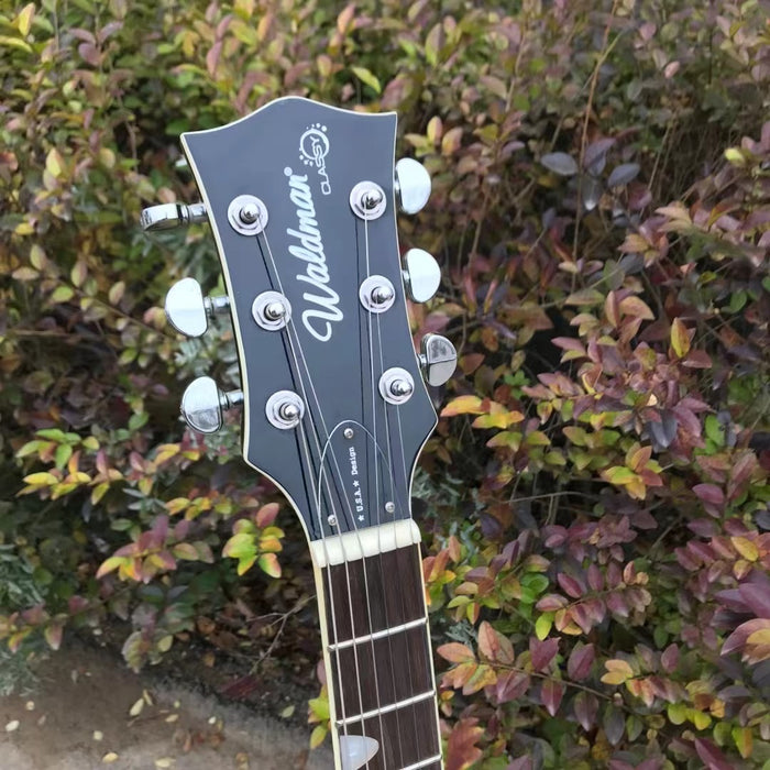PANGO Music Electric Guitar (YMZ-163)