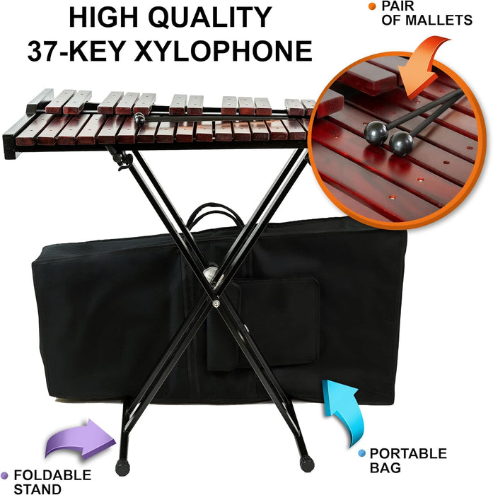 37-Key Xylophone with Mallets, Adjustable Stand, Bag