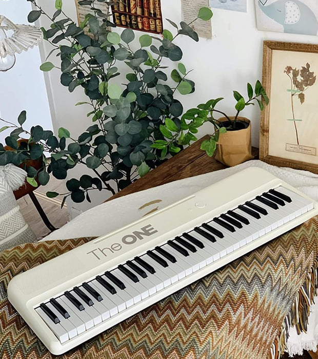 61-Key Electronic Organ with Package