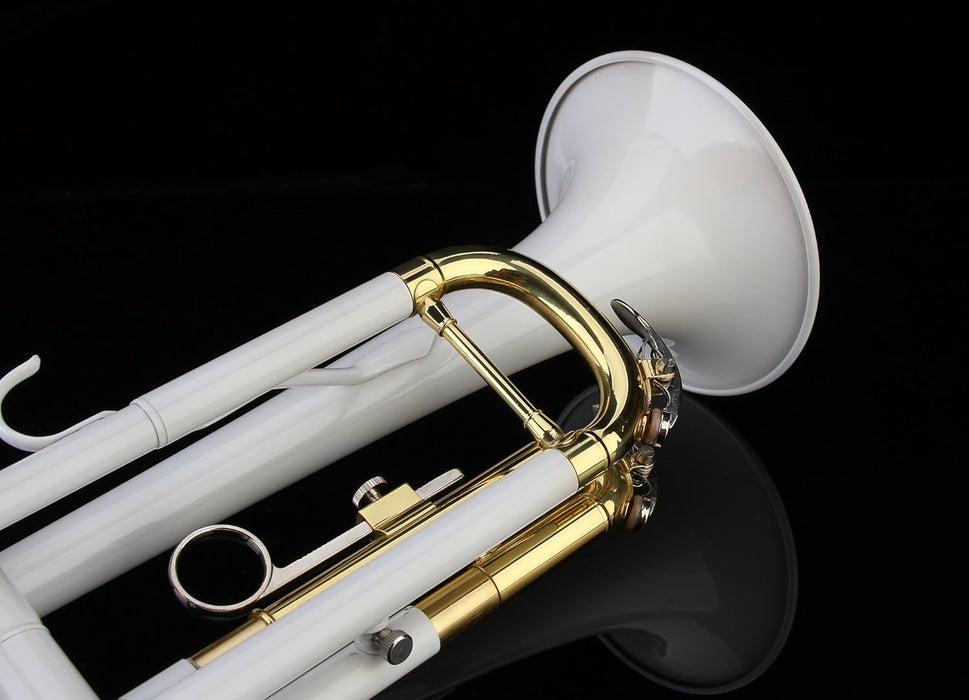 Bb Trumpet with Case and Gloves