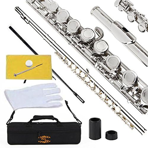 Closed Hole C Flute with Case, Gloves