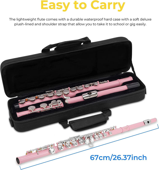 Closed Hole C Flute with Case, Stand and Cleaning Kit