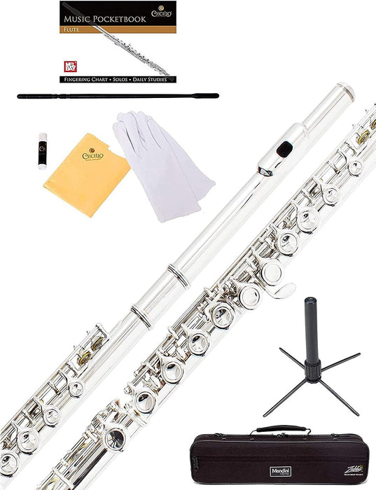 Closed Hole C Flute with a Case, Stand, Cleaning Kit