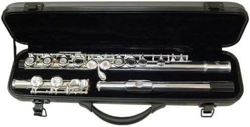 Open Hole C Flute 16 Holes with Case