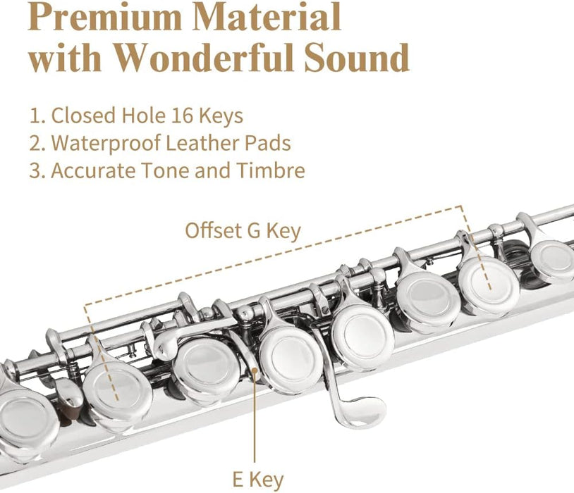 Closed Hole C Flute 16 Keys with Case, Cleaning Kit, Stand and Tuning Rod