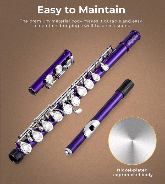 Closed Hole C Flute with Case, Stand and Cleaning Kit