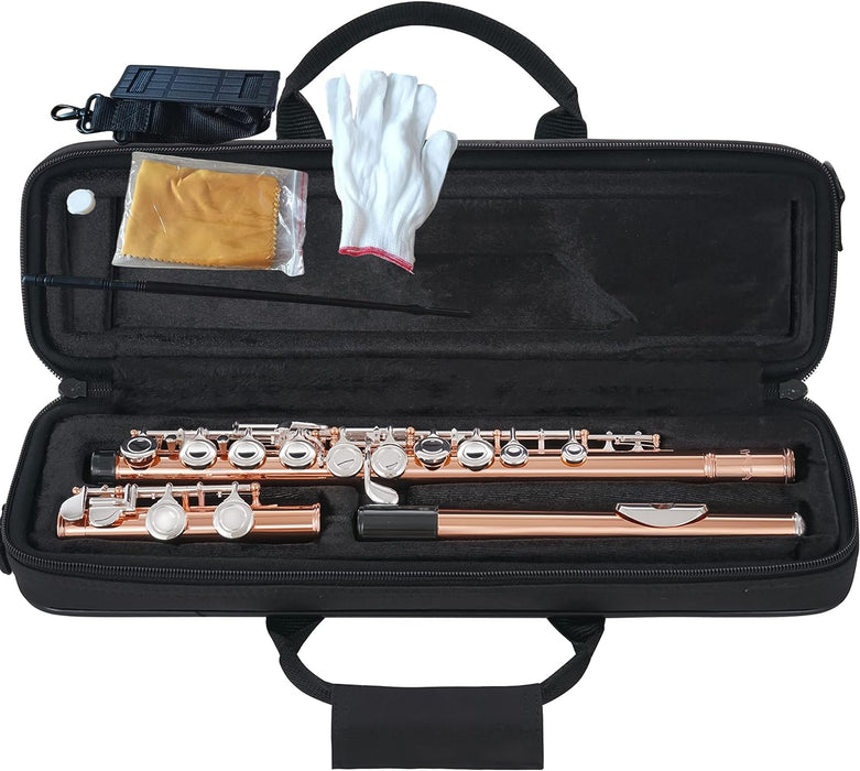 Closed Hole C Flute 16 Keys with Case, Cleaning Kit and Gloves