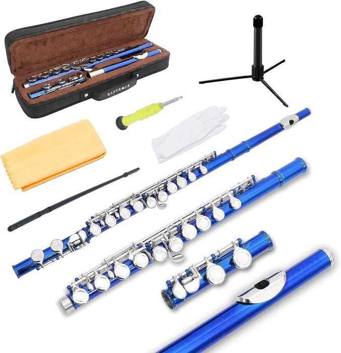 Closed Hole C Flute 16 Keys with Case, Stand and Cleaning Kit