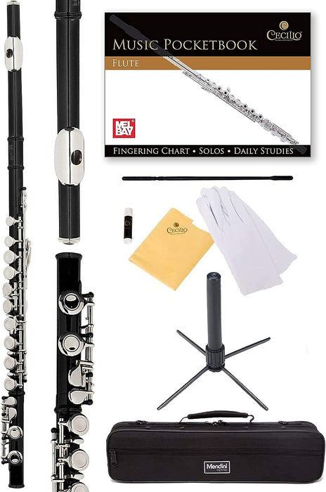Closed Hole C Flute with a Case, Stand, Cleaning Kit