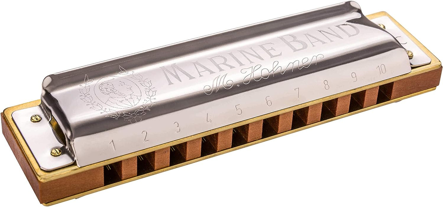 10 Holes Harmonica in C with Case