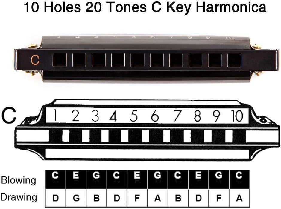 10 Holes 20 Tunes Harmonica in C with Case
