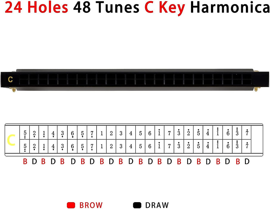 24 Holes Harmonica in C with Case