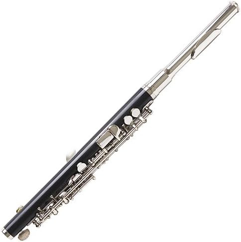 C Key Piccolo with Case, Gloves