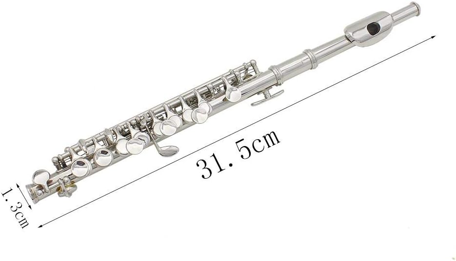 C Key Piccolo with Case, Cleaning Tool