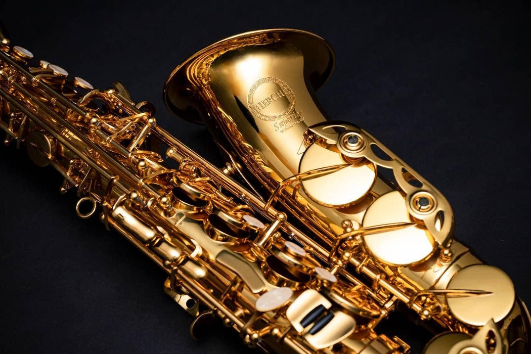Eb Key Alto Saxophone with Case, Reeds, Neck Strap
