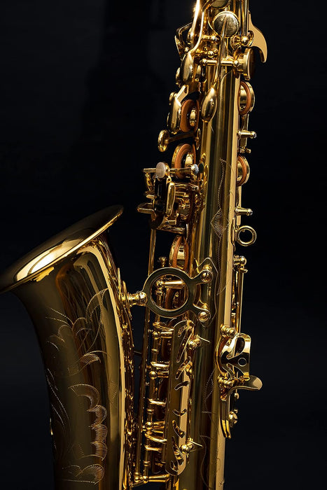 Eb Key Alto Saxophone with Case, Reeds, Neck Strap