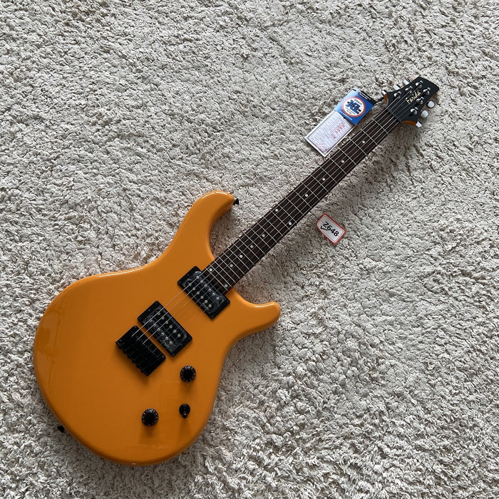 Electric Guitar on Sale (054)