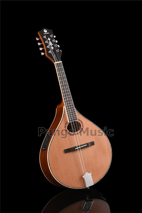 Solid Red Pine Top Bouzouki Mandolin with EQ (PBZ-002)