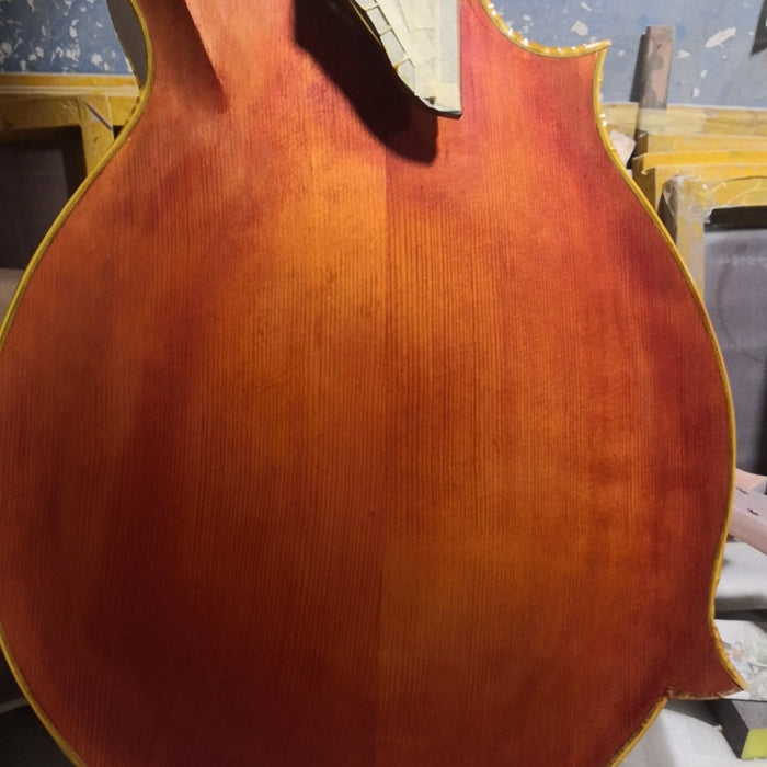 From Wood to Form: Selected Photos of a Mandocello Taking Shape