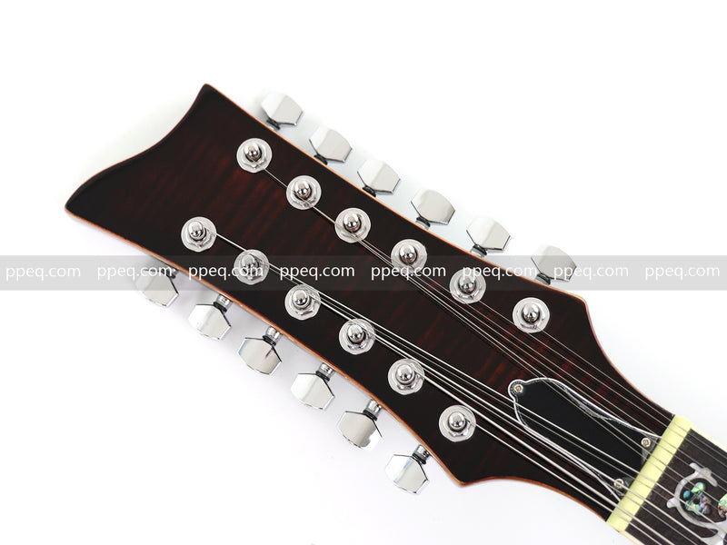 12-String Semi-Hollow Body Electric Guitar with Flamed Maple Top (YMZ-230)