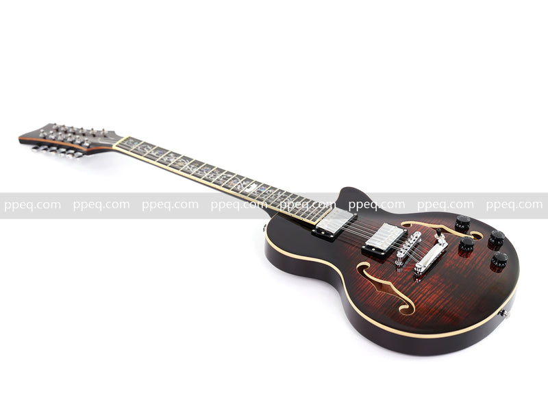 12-String Semi-Hollow Body Electric Guitar with Flamed Maple Top (YMZ-230)