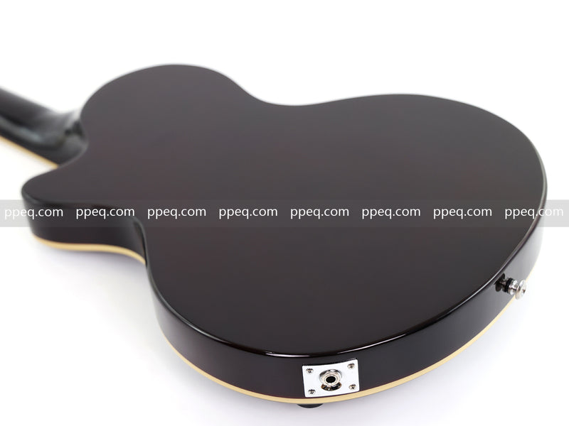 12-String Semi-Hollow Body Electric Guitar with Flamed Maple Top (YMZ-230)