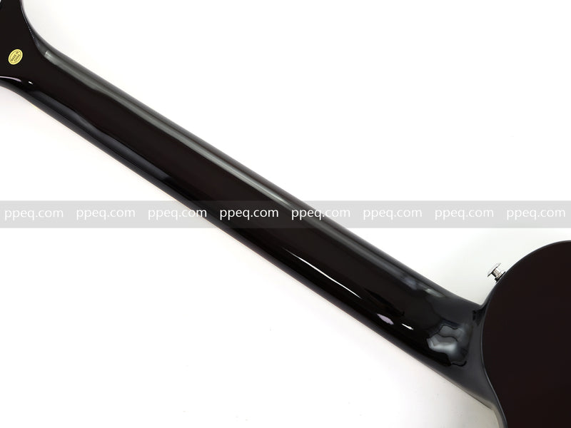 12-String Semi-Hollow Body Electric Guitar with Flamed Maple Top (YMZ-230)