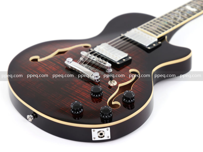 12-String Semi-Hollow Body Electric Guitar with Flamed Maple Top (YMZ-230)