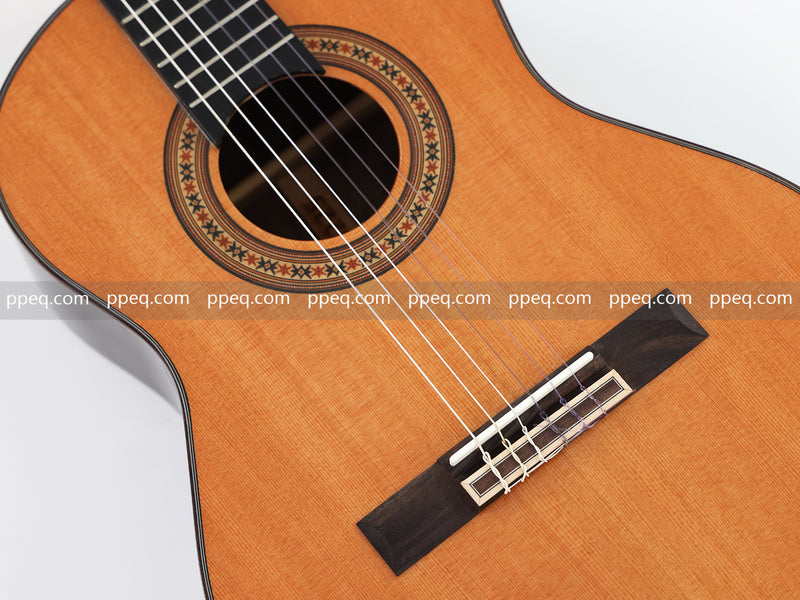 36-Inch Glossy Finish Solid Red Cedar Top Classical Guitar (W-6225)