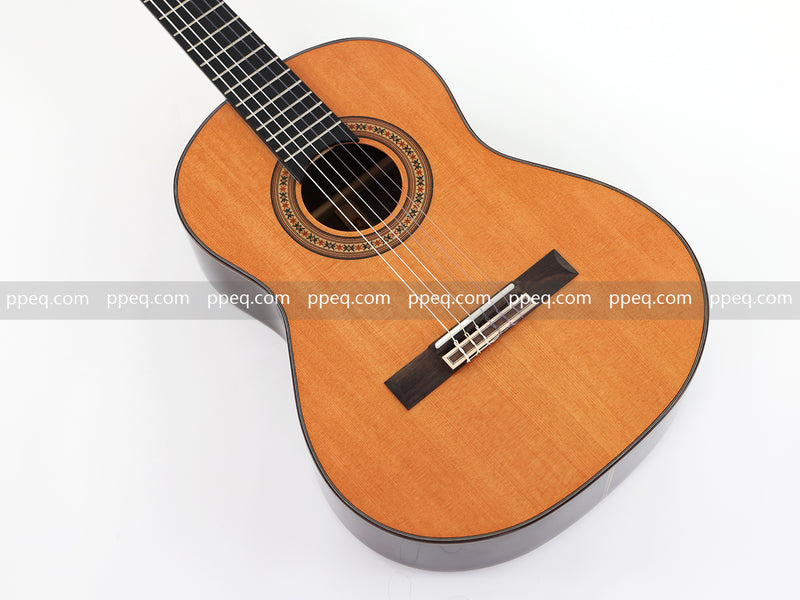36-Inch Glossy Finish Solid Red Cedar Top Classical Guitar (W-6225)