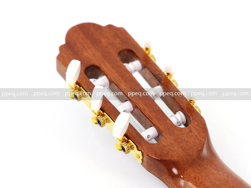 39-Inch Grade A Spruce Top Classical Guitar with Glossy Finish (JY-399)