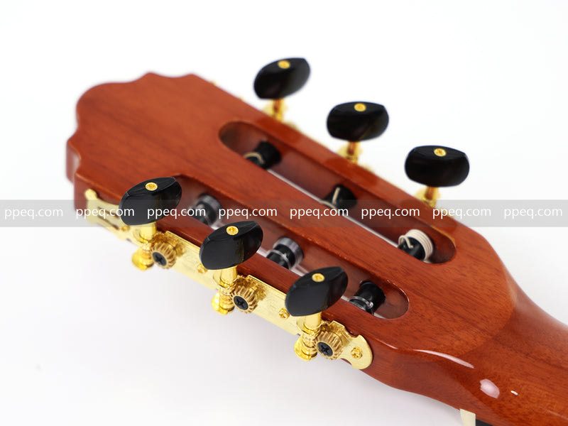 39-Inch Cutaway Glossy Finish Classical Guitar (JY-390)