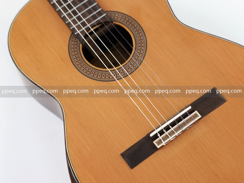 39-Inch Full Solid Wood Classical Guitar with Gloss Finish (J-399SSK)