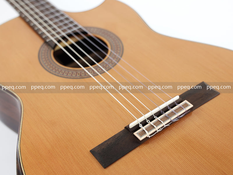 39-Inch Full Solid Wood Classical Guitar with Gloss Finish (J-399SSK)