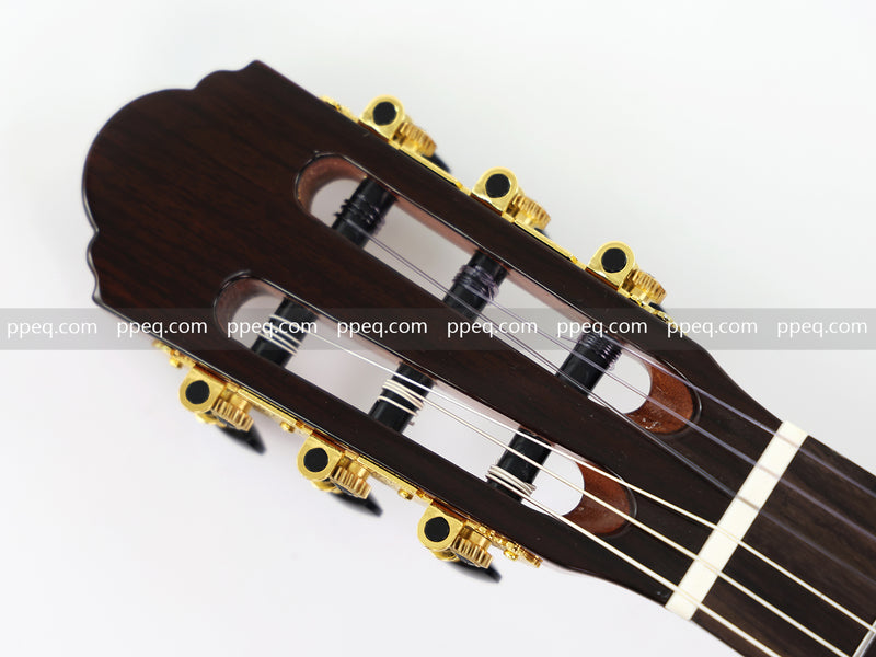 39-Inch Full Solid Wood Classical Guitar with Gloss Finish (J-399SSK)