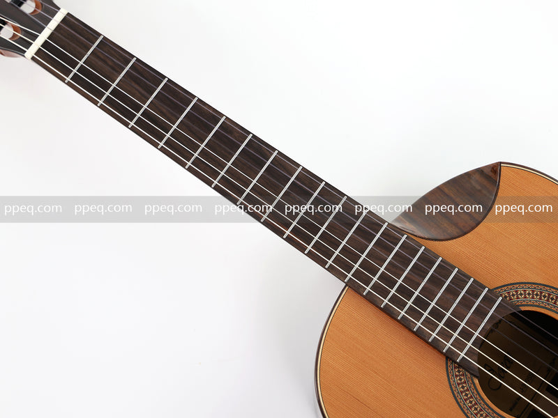 39-Inch Full Solid Wood Classical Guitar with Gloss Finish (J-399SSK)