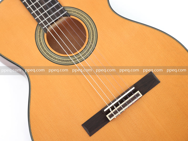 39-Inch Thinbody Glossy Finish Classical Guitar (JY-39C)