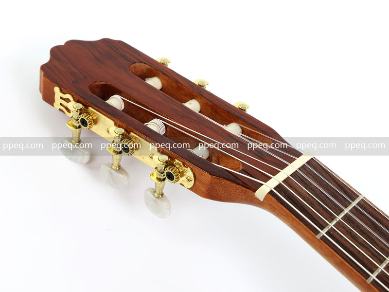 39 Inch Full Size Cutaway Nylon String Classical Guitar with Gloss Finish (TY-013)