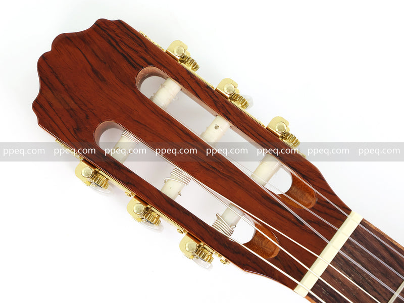 39 Inch Full Size Cutaway Nylon String Classical Guitar with Gloss Finish (TY-013)