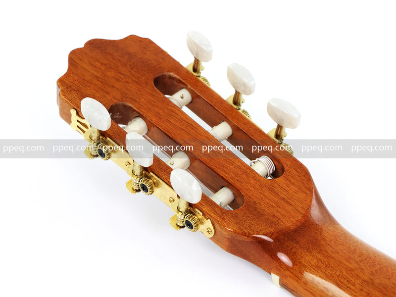 39 Inch Full Size Cutaway Nylon String Classical Guitar with Gloss Finish (TY-013)