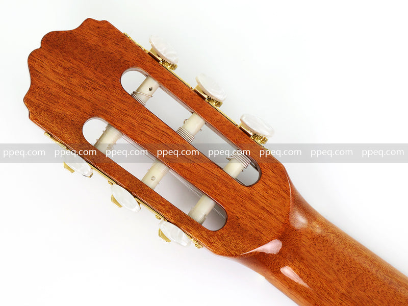 39 Inch Full Size Cutaway Nylon String Classical Guitar with Gloss Finish (TY-013)