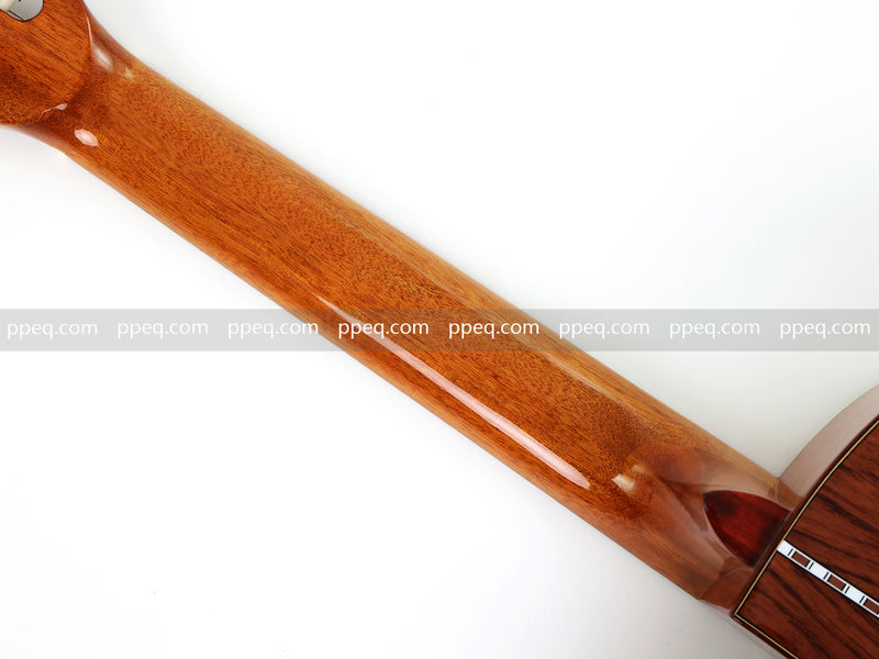 39 Inch Full Size Cutaway Nylon String Classical Guitar with Gloss Finish (TY-013)