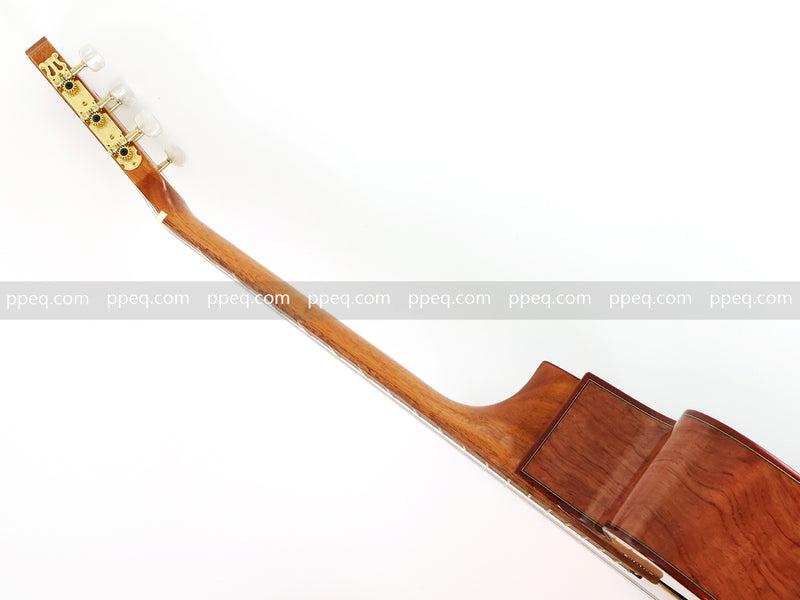 39 Inch Full Size Cutaway Nylon String Classical Guitar with Gloss Finish (TY-013)